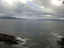 ./images/koeye/fitz-hugh/20140929/fitz-hugh20140929_103503.jpg