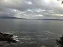 ./images/koeye/fitz-hugh/20140929/fitz-hugh20140929_104002.jpg