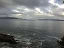 ./images/koeye/fitz-hugh/20140929/fitz-hugh20140929_104502.jpg