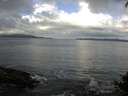 ./images/koeye/fitz-hugh/20140929/fitz-hugh20140929_105002.jpg