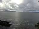 ./images/koeye/fitz-hugh/20140929/fitz-hugh20140929_110502.jpg