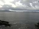 ./images/koeye/fitz-hugh/20140929/fitz-hugh20140929_111002.jpg