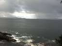 ./images/koeye/fitz-hugh/20140929/fitz-hugh20140929_112503.jpg