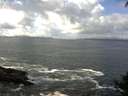 ./images/koeye/fitz-hugh/20140929/fitz-hugh20140929_115502.jpg