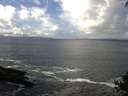 ./images/koeye/fitz-hugh/20140929/fitz-hugh20140929_120003.jpg