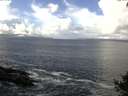 ./images/koeye/fitz-hugh/20140929/fitz-hugh20140929_120501.jpg