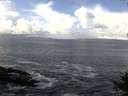 ./images/koeye/fitz-hugh/20140929/fitz-hugh20140929_121001.jpg