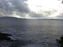 ./images/koeye/fitz-hugh/20140929/fitz-hugh20140929_123503.jpg