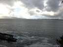 ./images/koeye/fitz-hugh/20140929/fitz-hugh20140929_124502.jpg