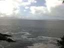 ./images/koeye/fitz-hugh/20140929/fitz-hugh20140929_125502.jpg