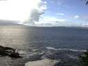 ./images/koeye/fitz-hugh/20140929/fitz-hugh20140929_131003.jpg