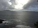 ./images/koeye/fitz-hugh/20140929/fitz-hugh20140929_132503.jpg