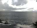 ./images/koeye/fitz-hugh/20140929/fitz-hugh20140929_133502.jpg