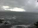 ./images/koeye/fitz-hugh/20140929/fitz-hugh20140929_135002.jpg