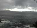 ./images/koeye/fitz-hugh/20140929/fitz-hugh20140929_142002.jpg