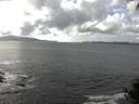 ./images/koeye/fitz-hugh/20140929/fitz-hugh20140929_144503.jpg