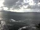 ./images/koeye/fitz-hugh/20140929/fitz-hugh20140929_145502.jpg