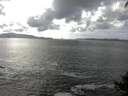 ./images/koeye/fitz-hugh/20140929/fitz-hugh20140929_151003.jpg