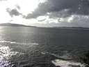 ./images/koeye/fitz-hugh/20140929/fitz-hugh20140929_152003.jpg