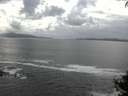 ./images/koeye/fitz-hugh/20140929/fitz-hugh20140929_154502.jpg