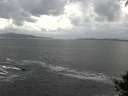 ./images/koeye/fitz-hugh/20140929/fitz-hugh20140929_155003.jpg