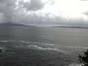 ./images/koeye/fitz-hugh/20140929/fitz-hugh20140929_161002.jpg
