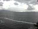 ./images/koeye/fitz-hugh/20140929/fitz-hugh20140929_162501.jpg