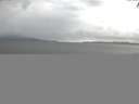 ./images/koeye/fitz-hugh/20140929/fitz-hugh20140929_163502.jpg