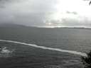./images/koeye/fitz-hugh/20140929/fitz-hugh20140929_164001.jpg