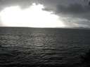 ./images/koeye/fitz-hugh/20140929/fitz-hugh20140929_172003.jpg