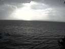./images/koeye/fitz-hugh/20140929/fitz-hugh20140929_172503.jpg