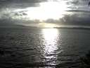 ./images/koeye/fitz-hugh/20140929/fitz-hugh20140929_180002.jpg