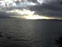 ./images/koeye/fitz-hugh/20140929/fitz-hugh20140929_180503.jpg