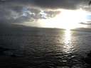 ./images/koeye/fitz-hugh/20140929/fitz-hugh20140929_185002.jpg