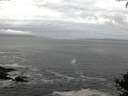 ./images/koeye/fitz-hugh/20140930/fitz-hugh20140930_072002.jpg