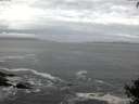 ./images/koeye/fitz-hugh/20140930/fitz-hugh20140930_072502.jpg