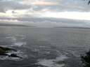 ./images/koeye/fitz-hugh/20140930/fitz-hugh20140930_075002.jpg