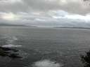 ./images/koeye/fitz-hugh/20140930/fitz-hugh20140930_080502.jpg