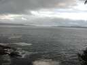 ./images/koeye/fitz-hugh/20140930/fitz-hugh20140930_081002.jpg