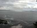 ./images/koeye/fitz-hugh/20140930/fitz-hugh20140930_081502.jpg