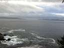 ./images/koeye/fitz-hugh/20140930/fitz-hugh20140930_083502.jpg