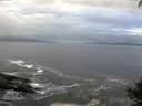 ./images/koeye/fitz-hugh/20140930/fitz-hugh20140930_084003.jpg