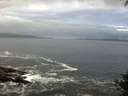 ./images/koeye/fitz-hugh/20140930/fitz-hugh20140930_084503.jpg