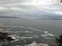 ./images/koeye/fitz-hugh/20140930/fitz-hugh20140930_085002.jpg