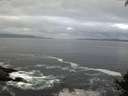 ./images/koeye/fitz-hugh/20140930/fitz-hugh20140930_085502.jpg