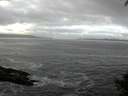 ./images/koeye/fitz-hugh/20140930/fitz-hugh20140930_091503.jpg