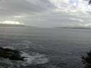 ./images/koeye/fitz-hugh/20140930/fitz-hugh20140930_094502.jpg