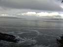 ./images/koeye/fitz-hugh/20140930/fitz-hugh20140930_095501.jpg