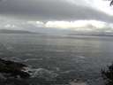 ./images/koeye/fitz-hugh/20140930/fitz-hugh20140930_100003.jpg