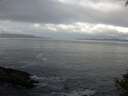 ./images/koeye/fitz-hugh/20140930/fitz-hugh20140930_100502.jpg